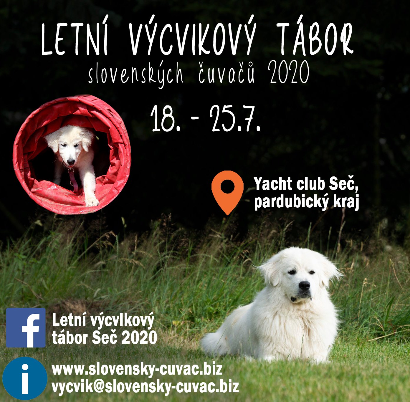 letacek 2020