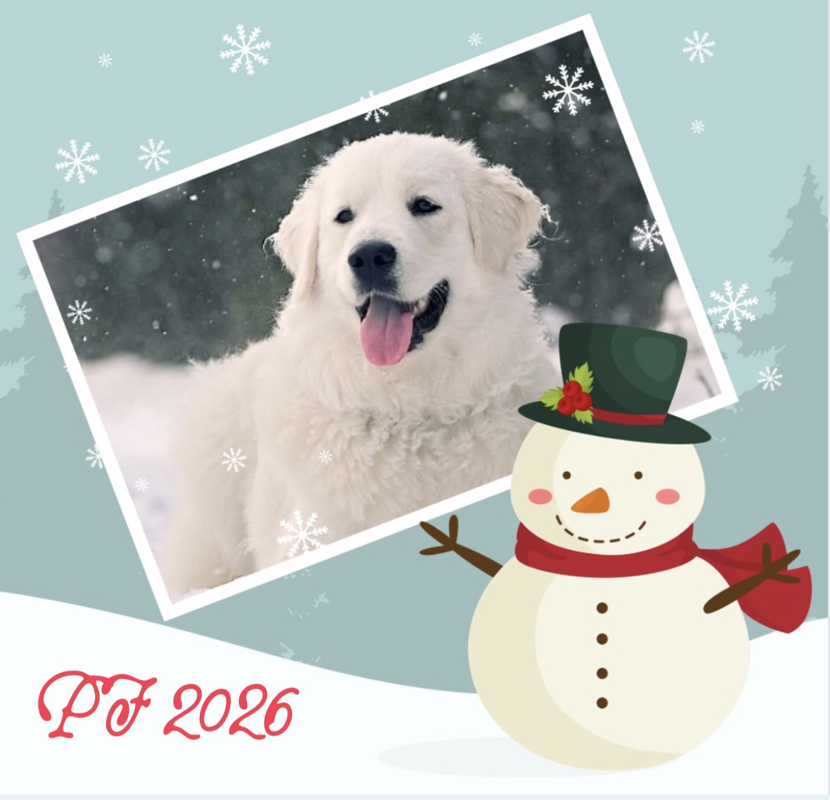 vanoce novy rok 2026