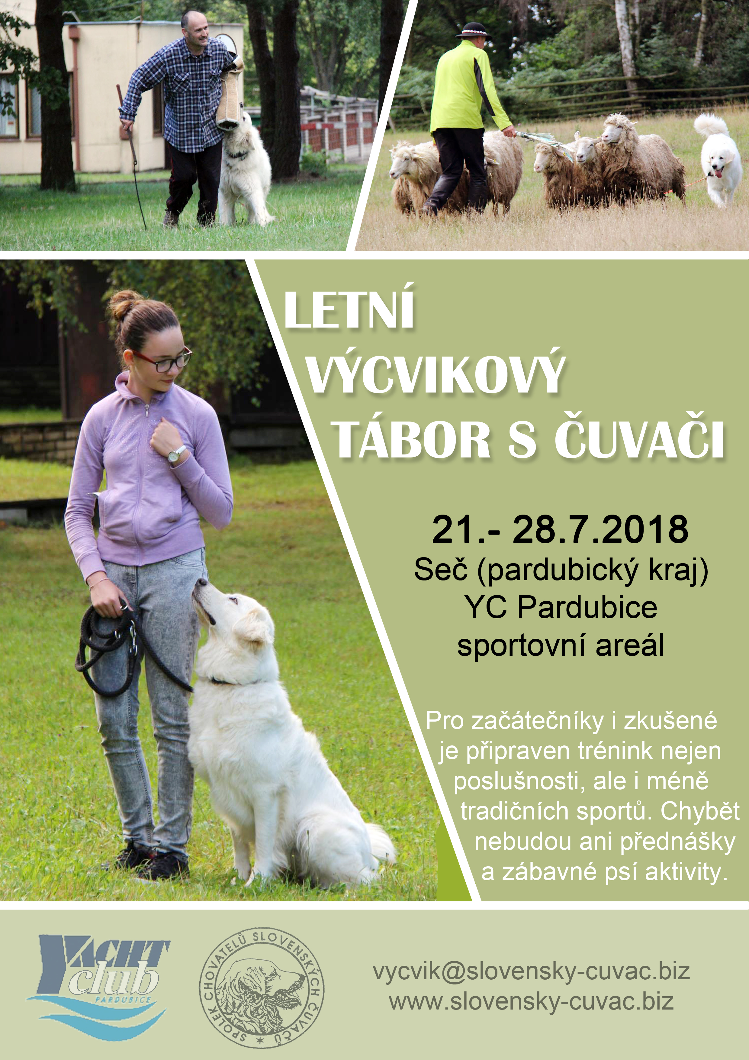 lvt 2018 stin